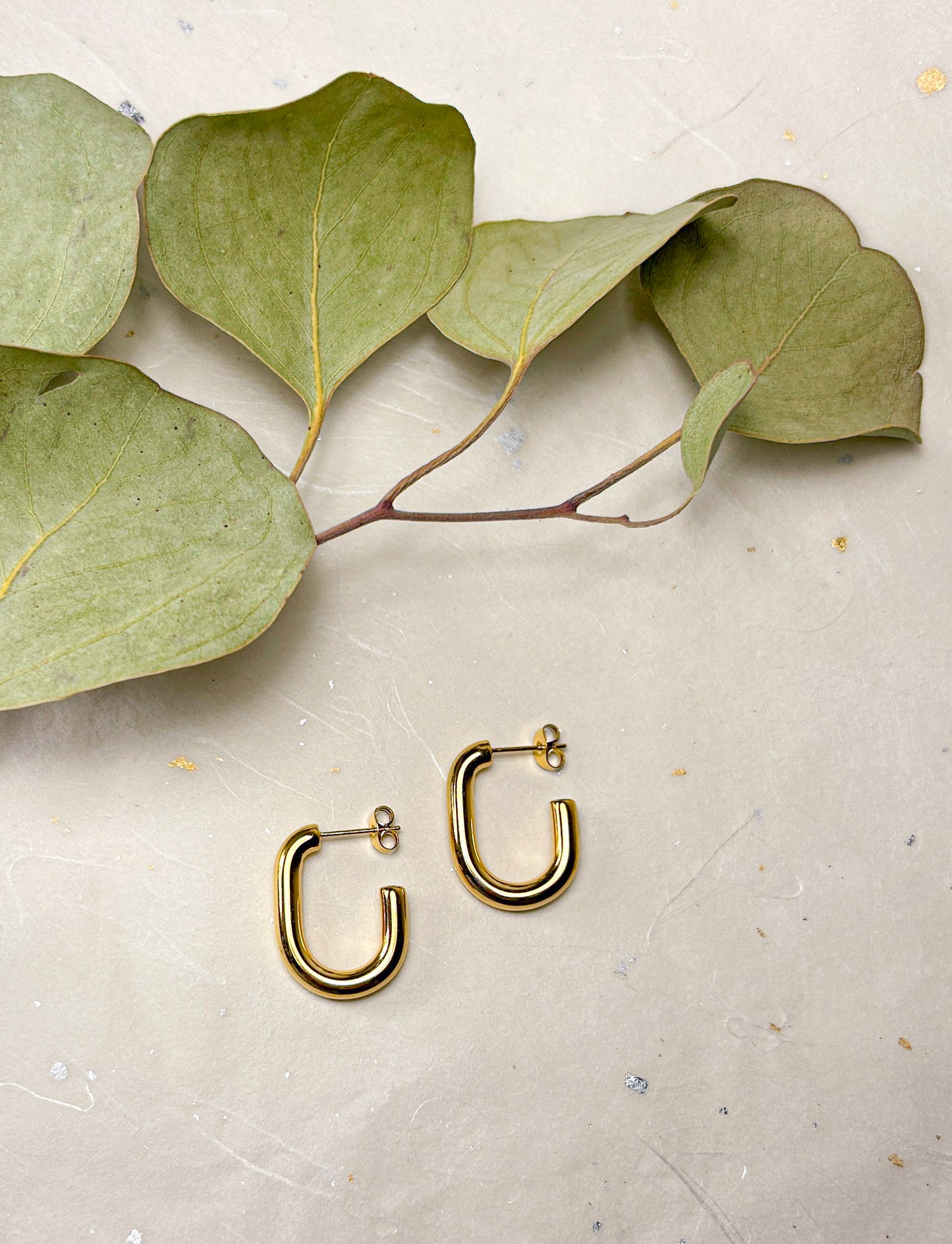 Bold Loop Hoops