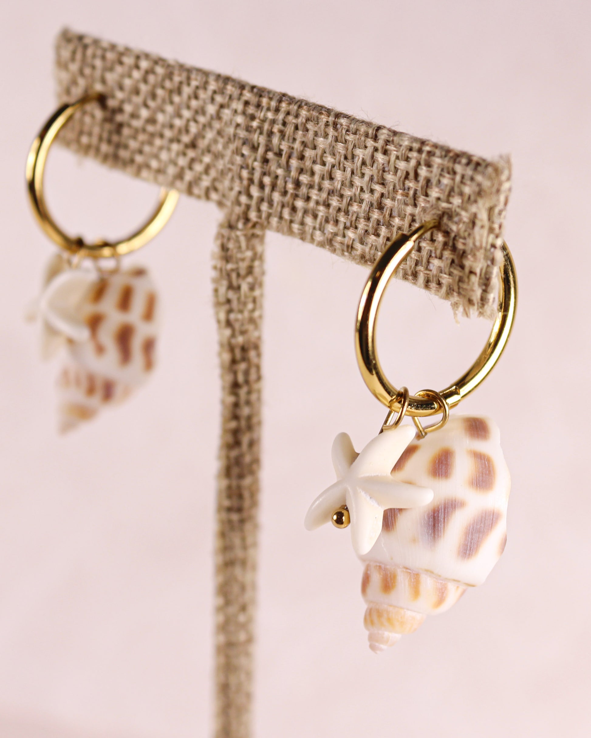 Gold hoop earrings with shell charms on a beige hanger against a pink background
