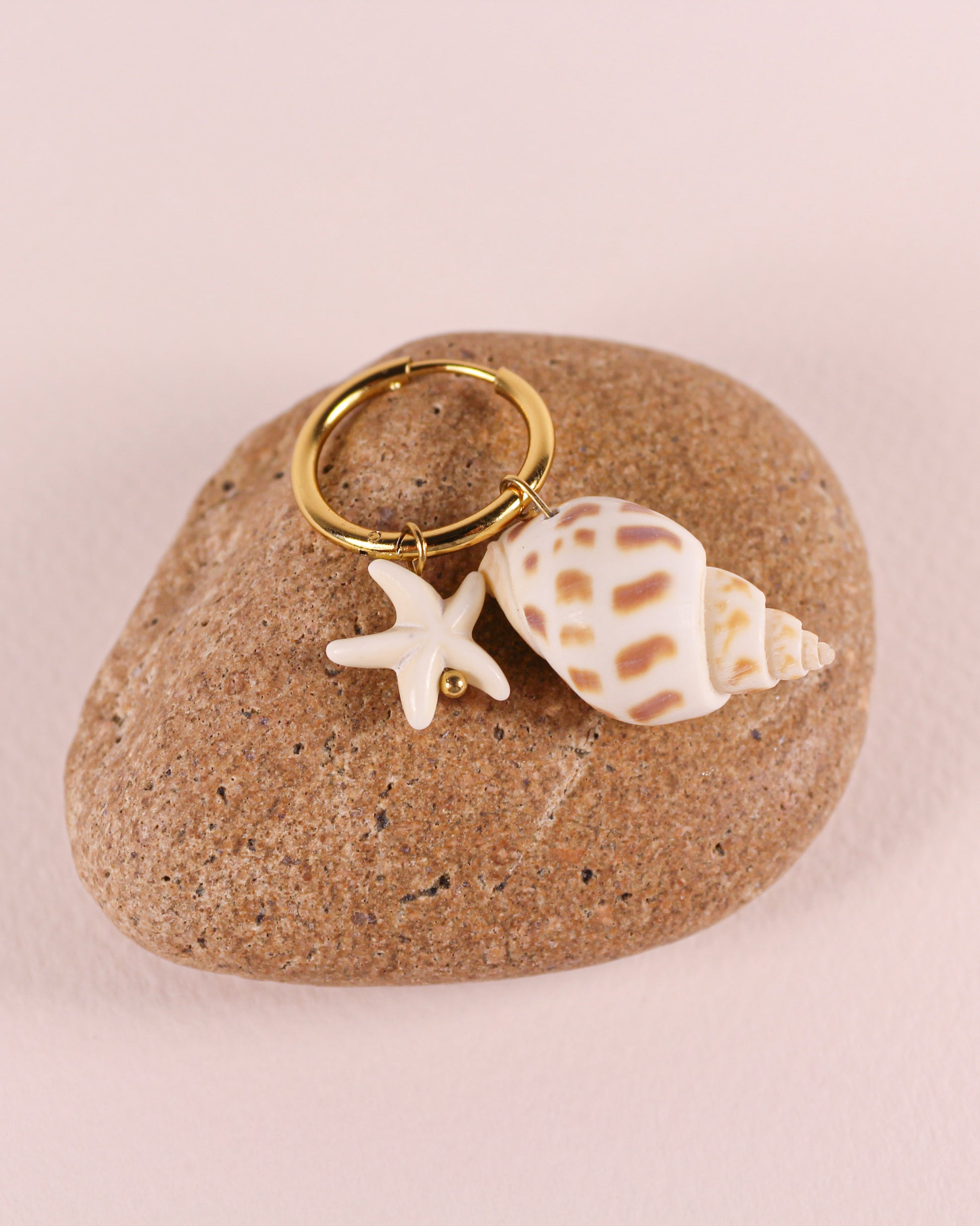 Earrings with starfish and shell charm on a rock